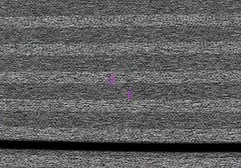 Homosexuelles Training auf einer roten freie fickfilme Matte und harter Sex