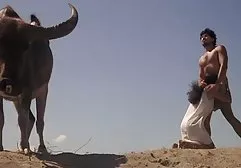 Zwei Hündinnen gerieten gratis fickfilme ansehen in einen harten Gangbang und mussten hart an den Mitgliedern arbeiten