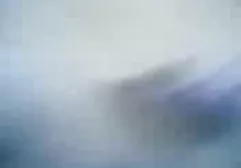 Schönheit echte Meister Blowjob. Sie will den Kerl langsam und schön zum Orgasmus bringen und nutzt alles, was sie kann. Ihre Hände helfen sanft den Lippen free fickfilme den Kerl angenehm zu machen